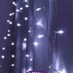 ریسه سوزنی مهتابی