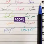 روان نویس کینگ