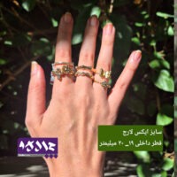 پک انگشتر کاکتوس
